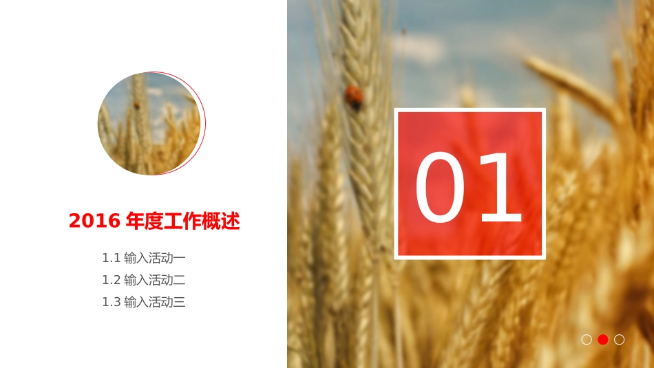 杂志风个人年终总结PPT模板(精品).pptx_第3页