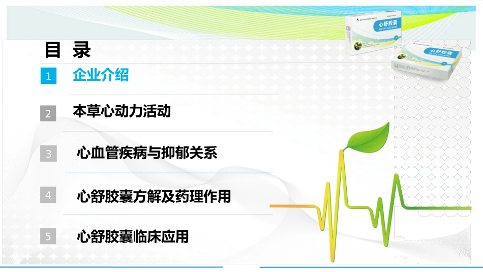 心舒胶囊--村医版.ppt_第2页