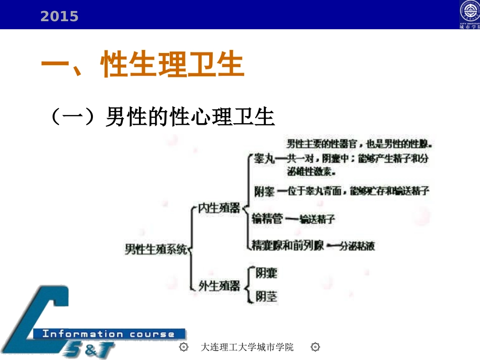 性与生殖健康基础知识.ppt_第3页