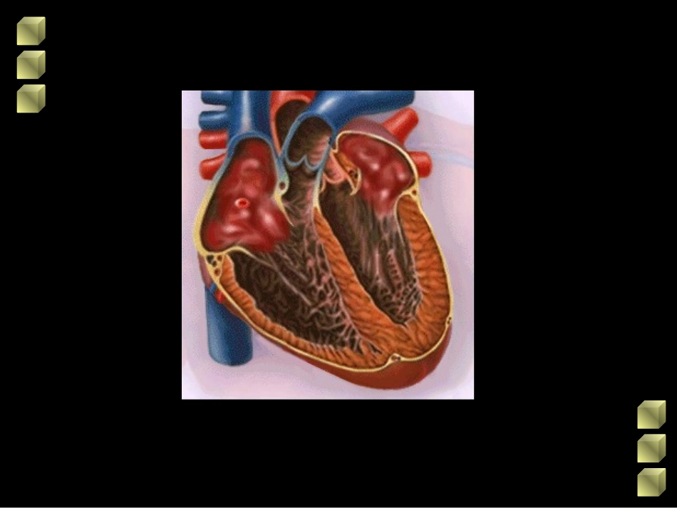 先天性心脏病血液动力学改变.ppt_第1页