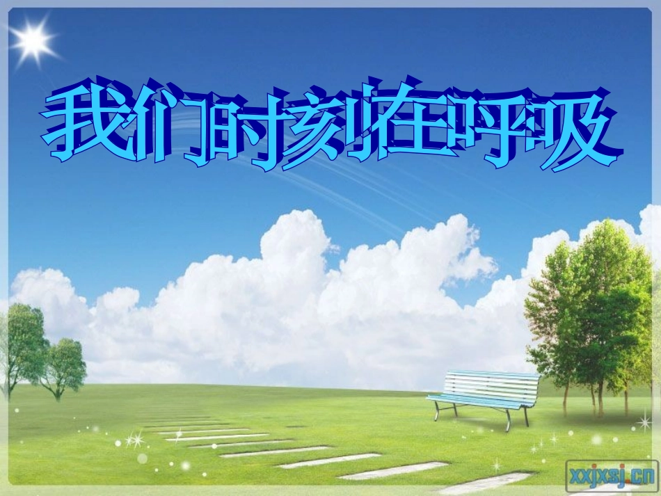 我们时刻在呼吸.ppt_第2页