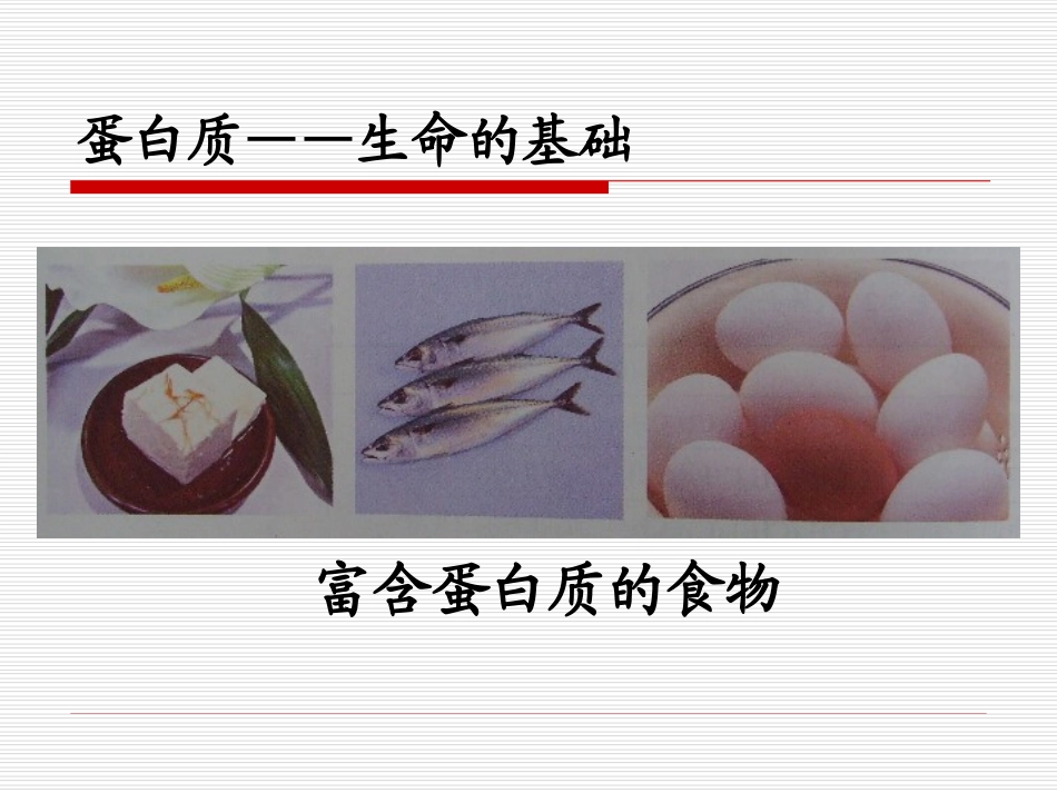 提供能量与营养的食物..ppt_第2页
