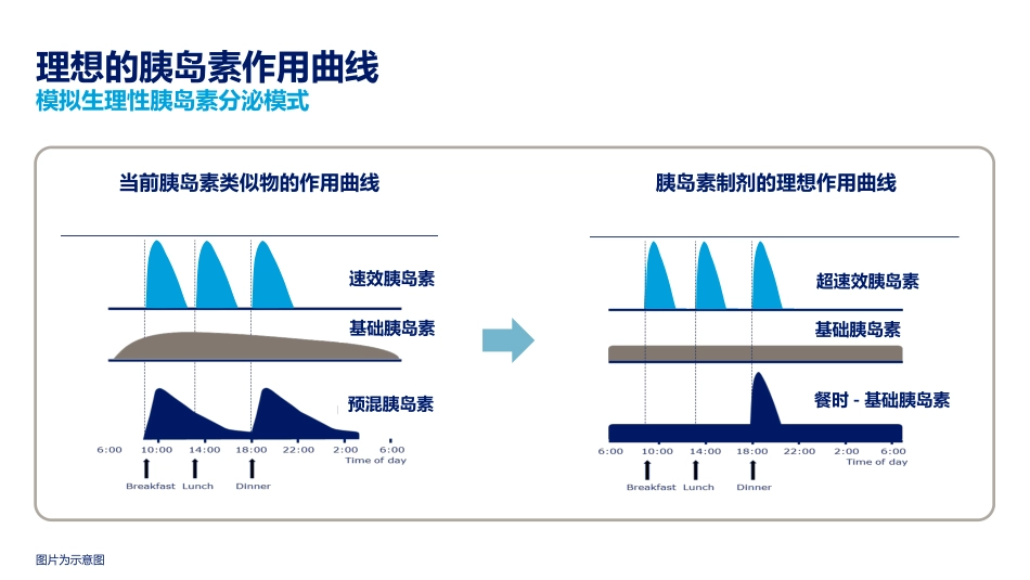 新型基础胰岛素类似物的研发进展.pptx_第3页