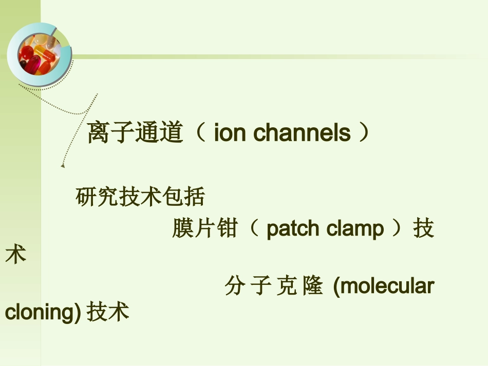 心脏离子通道药理.ppt_第2页