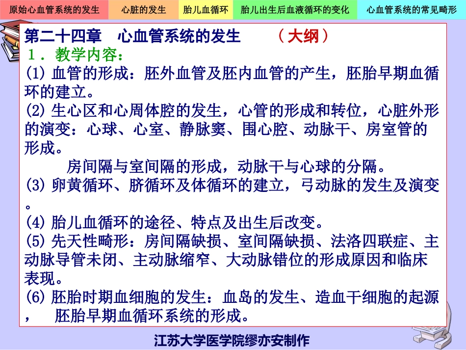 心血管系统的发生.ppt_第2页