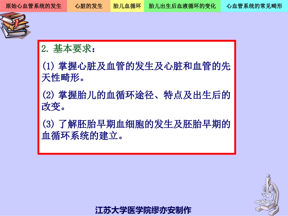 心血管系统的发生.ppt_第3页