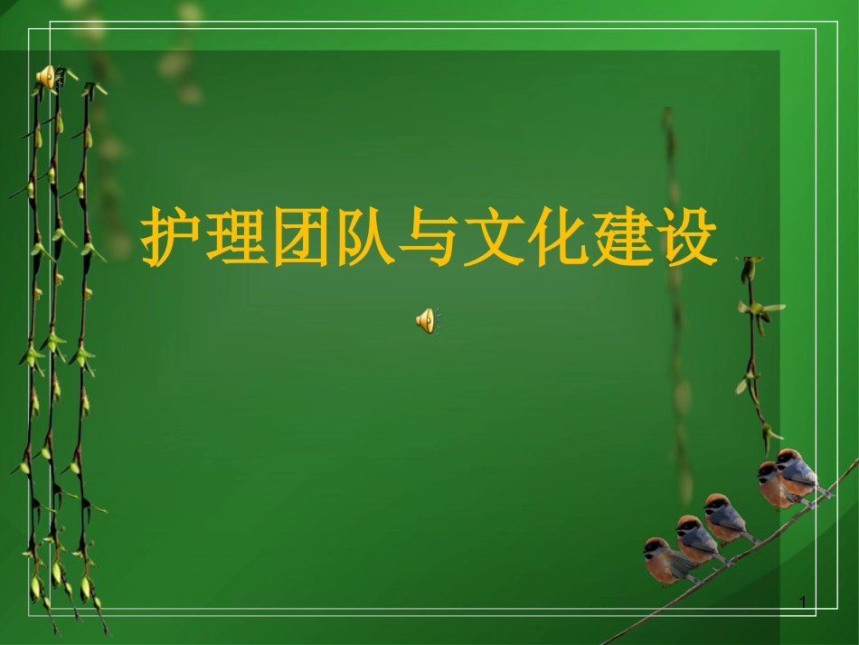 护理团队与文化建设.ppt_第1页