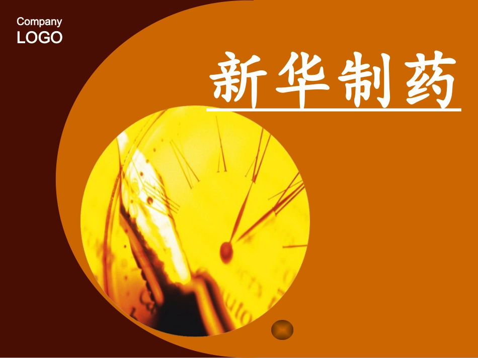 新华制药内部控制ppt(1).ppt_第1页