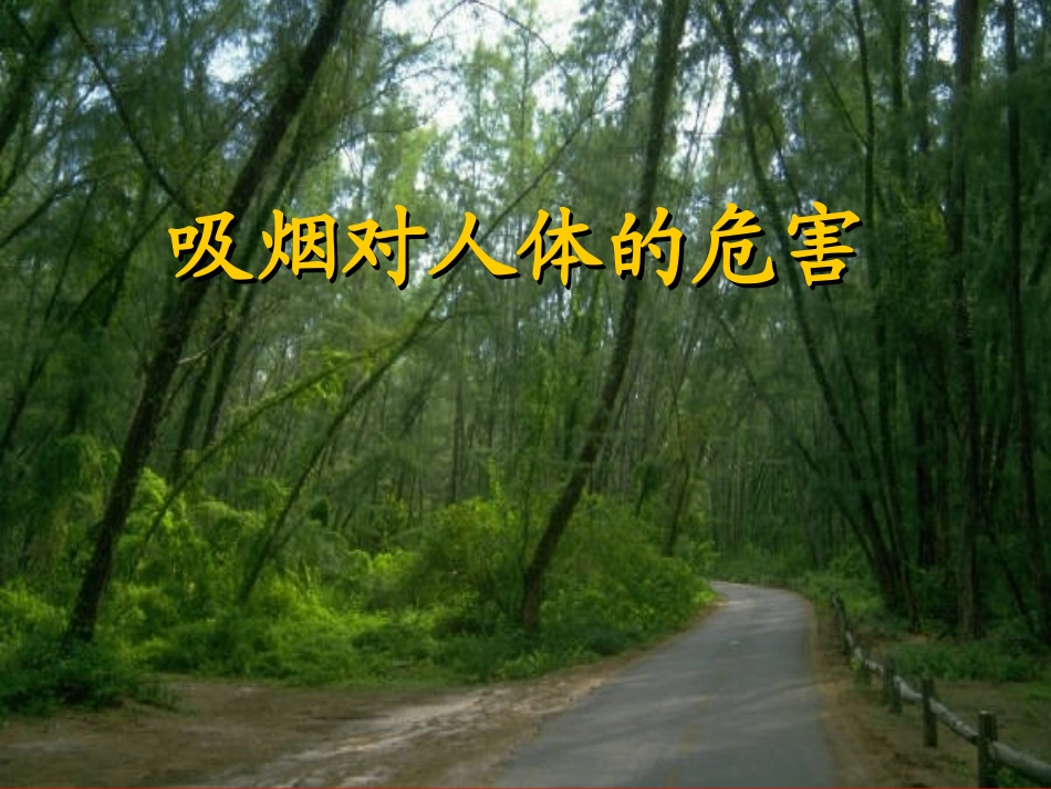 吸烟对人体的危害.ppt_第1页