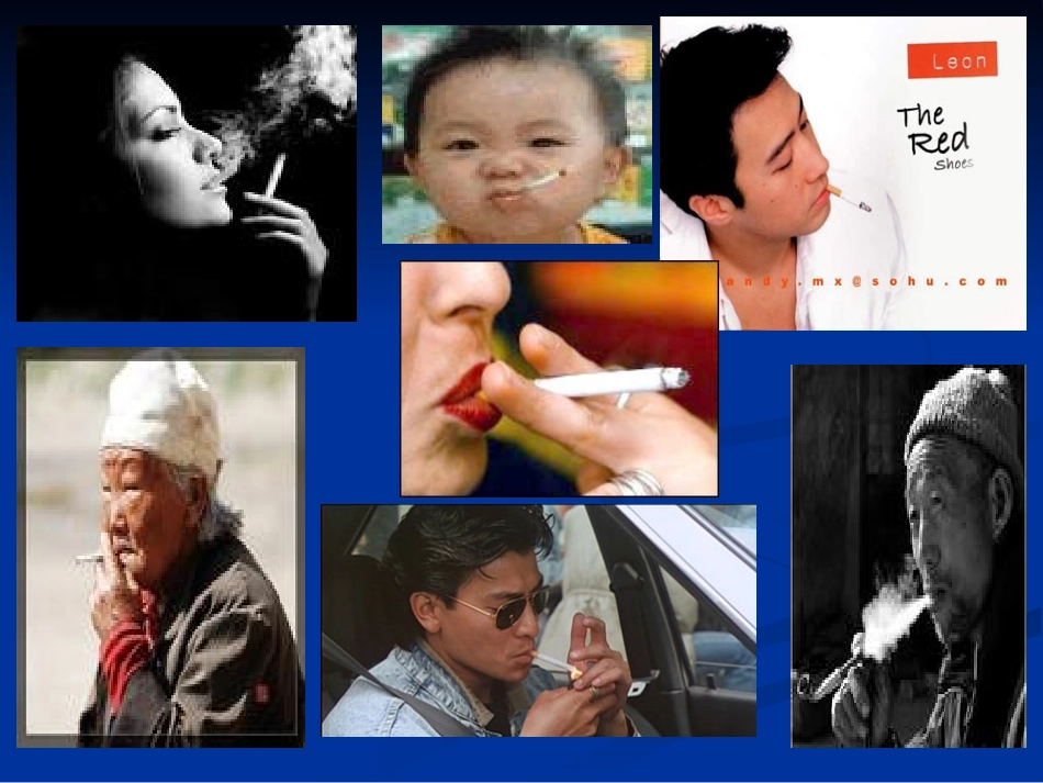 吸烟对人体的危害.ppt_第3页