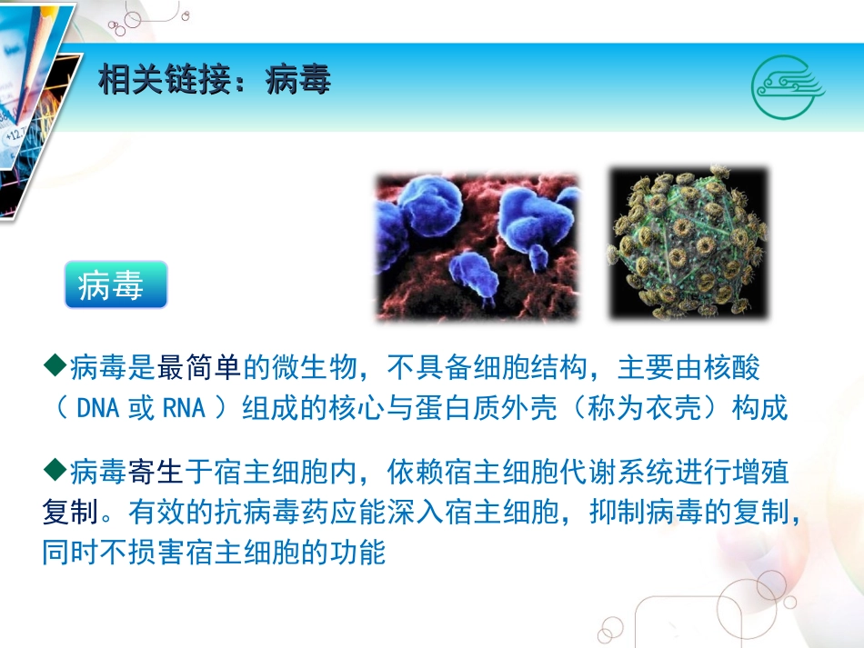 吸附HIV主要通过gp120与宿主细胞膜表面的相应受体结合进入细胞.ppt_第2页