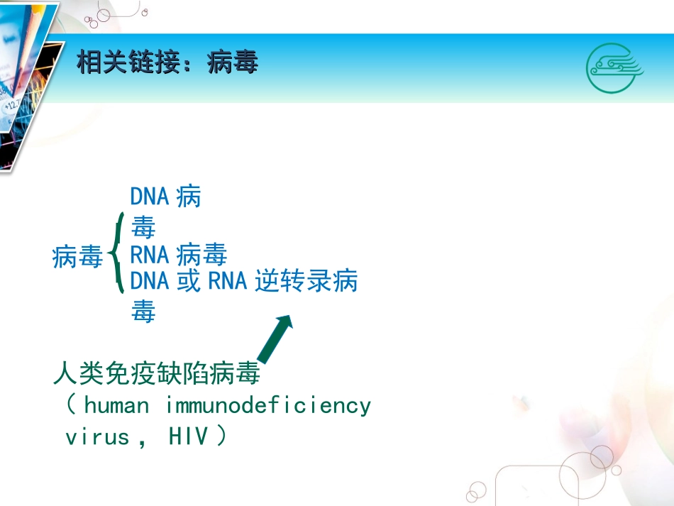 吸附HIV主要通过gp120与宿主细胞膜表面的相应受体结合进入细胞.ppt_第3页