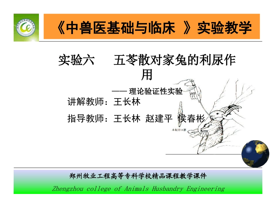 五苓散对家兔的利尿作用..ppt_第2页