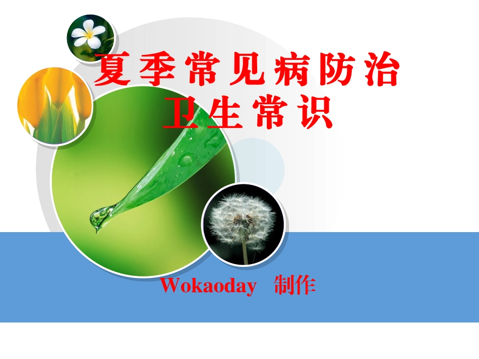 夏季防病及意外防护.ppt_第1页