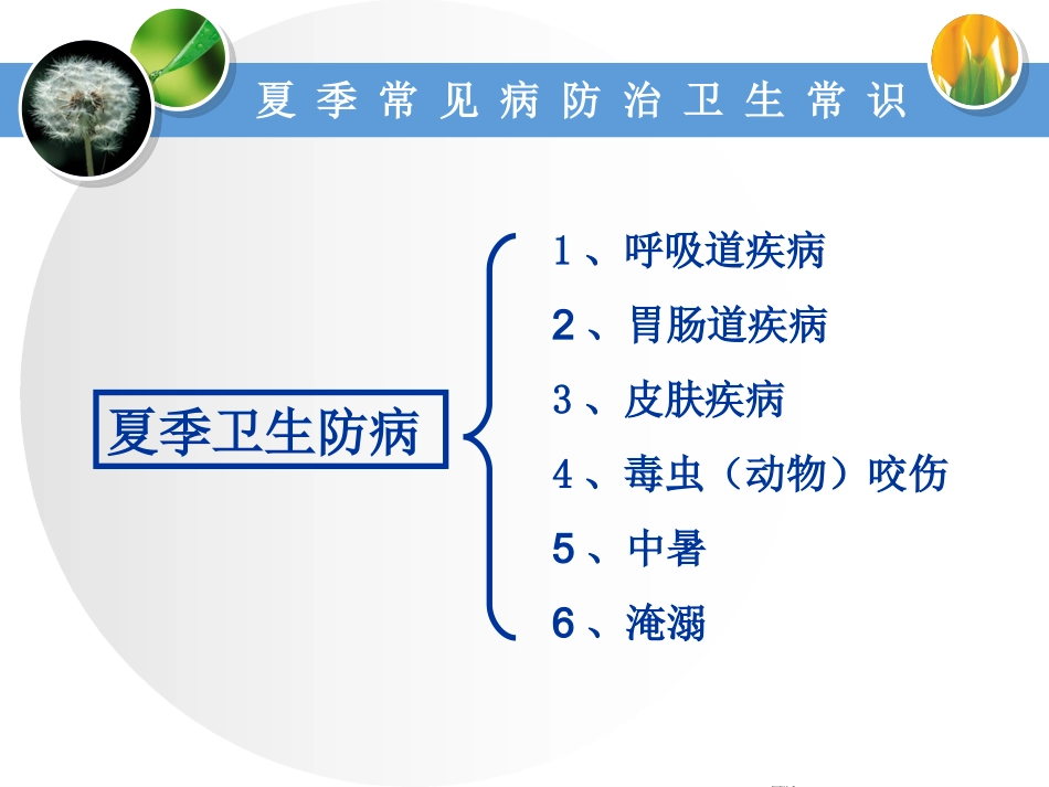 夏季防病及意外防护.ppt_第2页