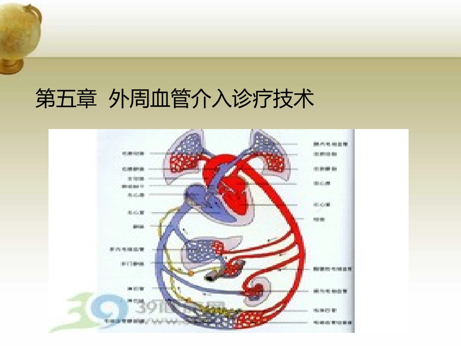 外周血管系统-(2).pptx_第1页