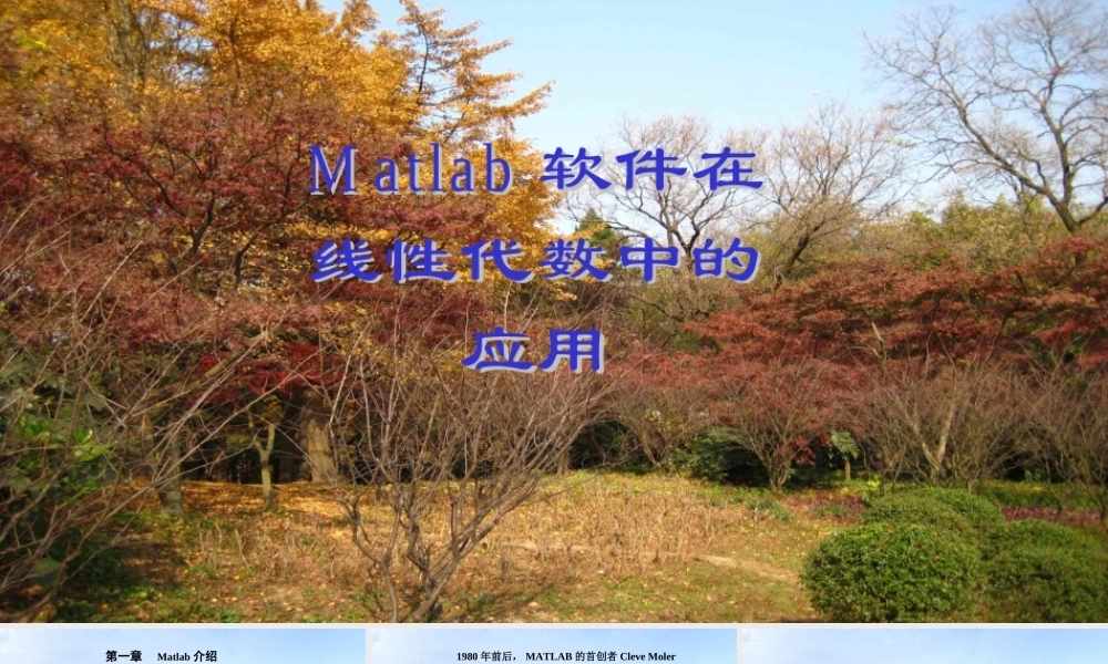Matlab在线性代数中的应用.ppt