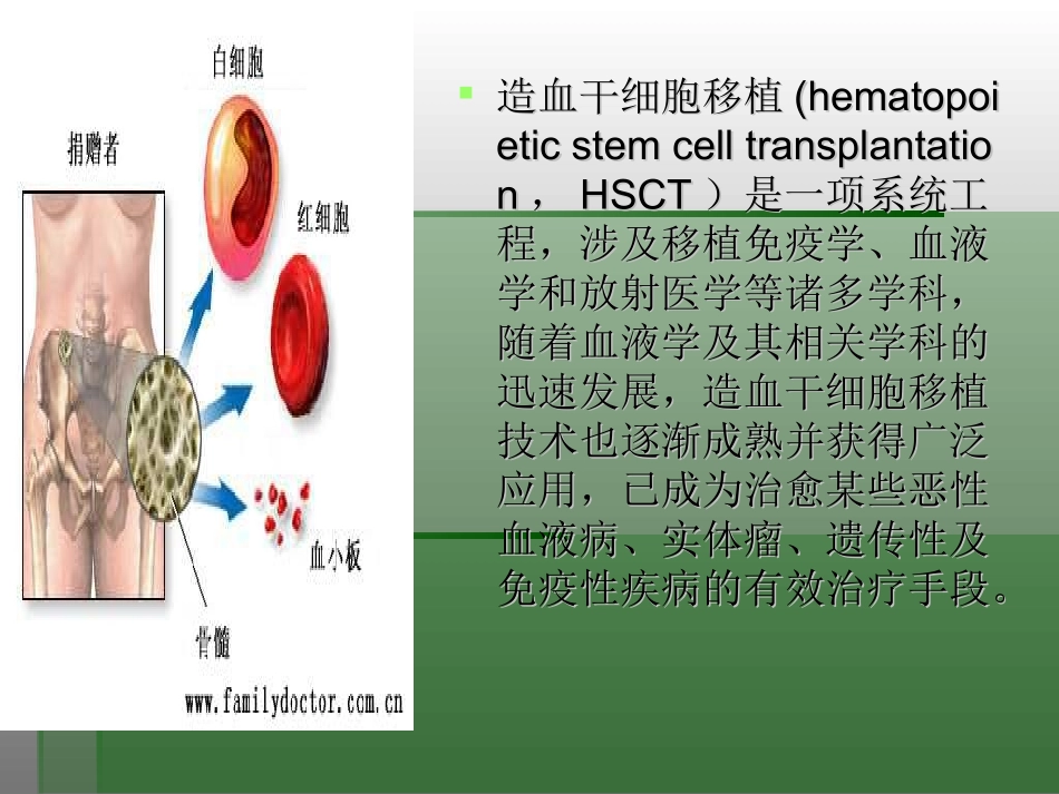 外周血干细胞移植.ppt_第2页