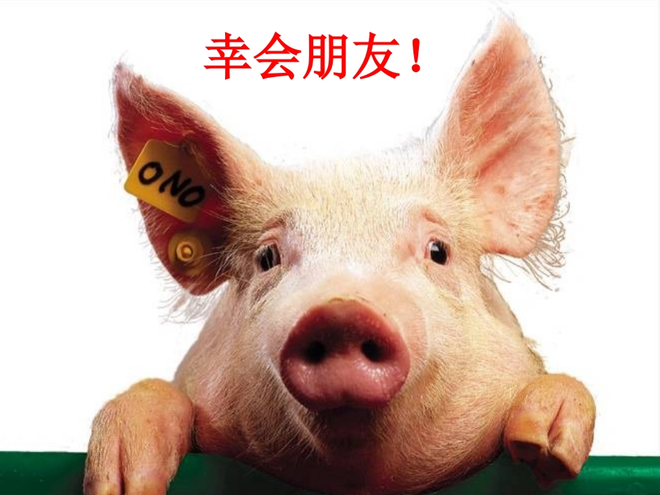 夏季猪高热病防制技术.ppt_第1页