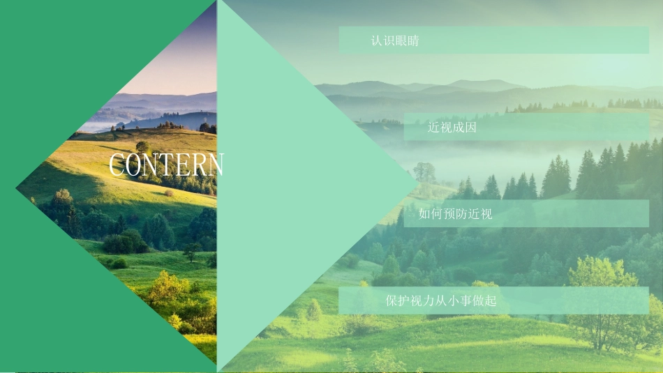 全国爱眼日保护视力PPT模板.pptx_第2页