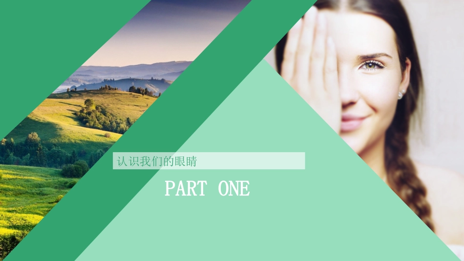 全国爱眼日保护视力PPT模板.pptx_第3页