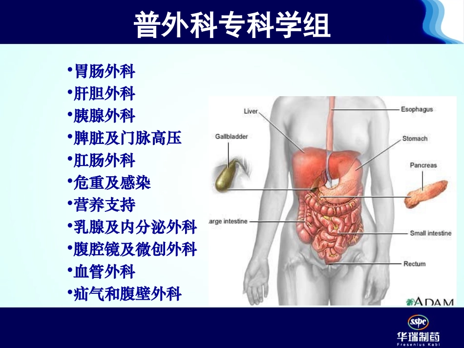 外科患者的营养支持.ppt_第2页