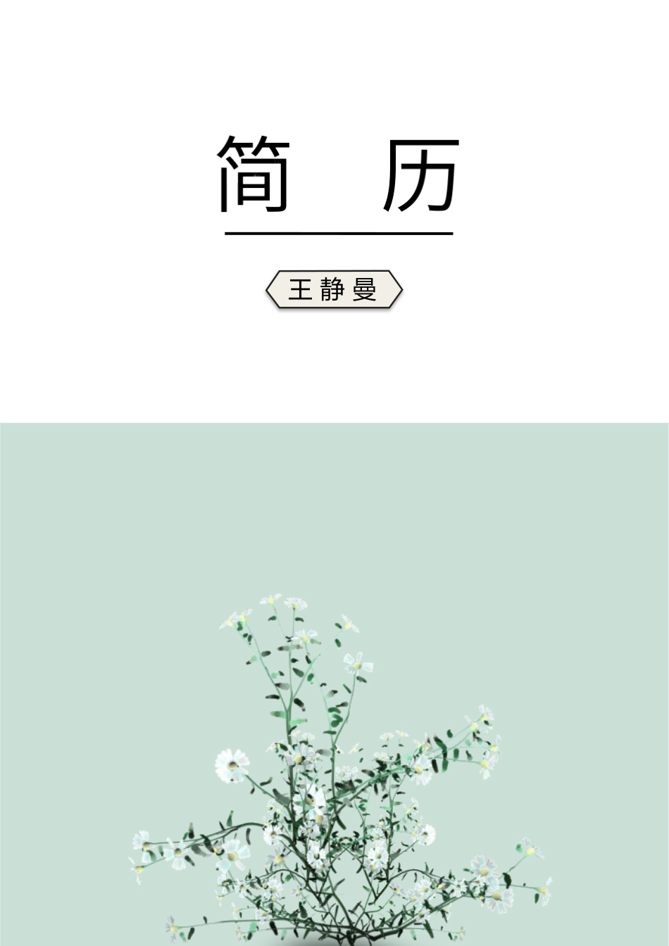 [简历]艺术气质四页02.docx_第1页