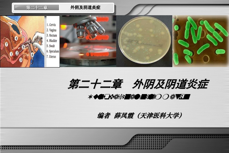 外阴及阴道炎症.ppt_第3页