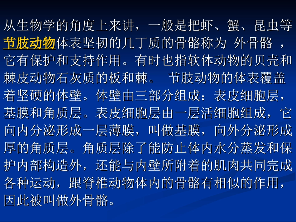 外骨骼机器人.ppt_第2页