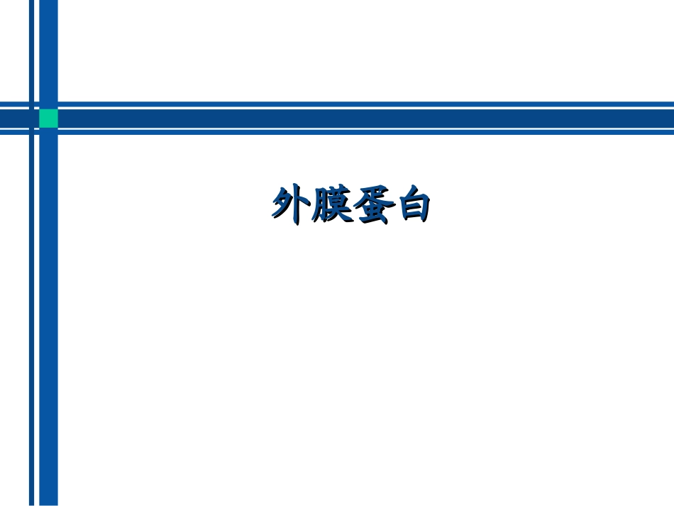 外膜蛋白结构及分类.ppt_第1页