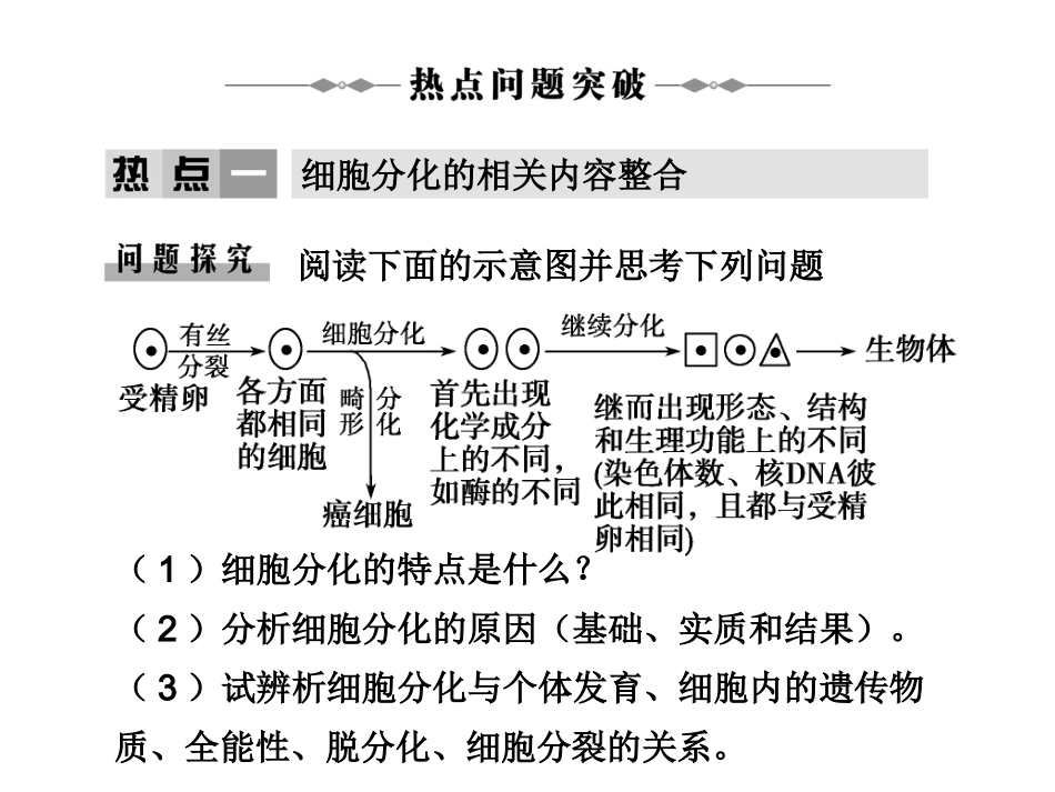 学案-细胞的分化、癌变、衰老和凋亡.ppt_第2页