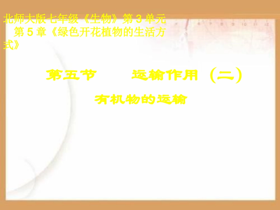 植物的运输作用PPT课件.ppt_第1页