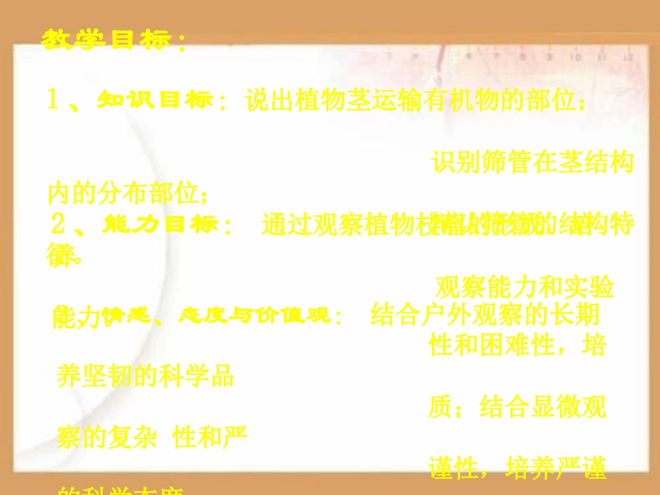 植物的运输作用PPT课件.ppt_第3页