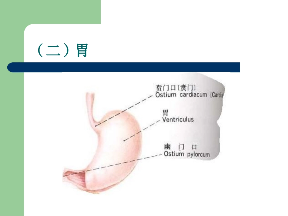 小儿营养及喂养.ppt_第3页