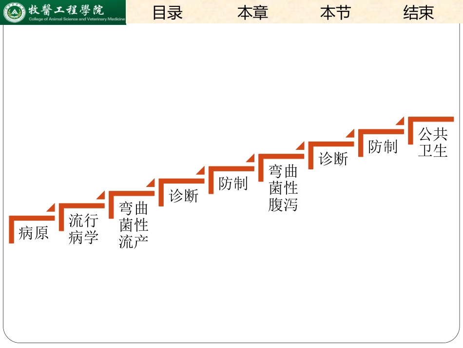 弯曲杆菌病..ppt_第2页