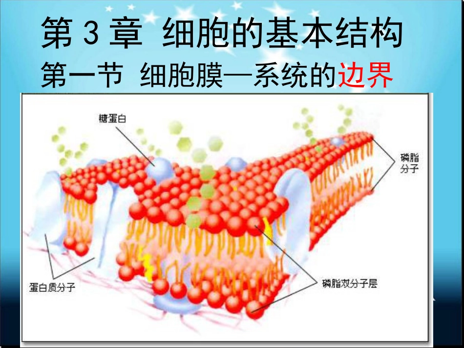 小谢3.1系统的边界——细胞膜ppt.ppt_第2页