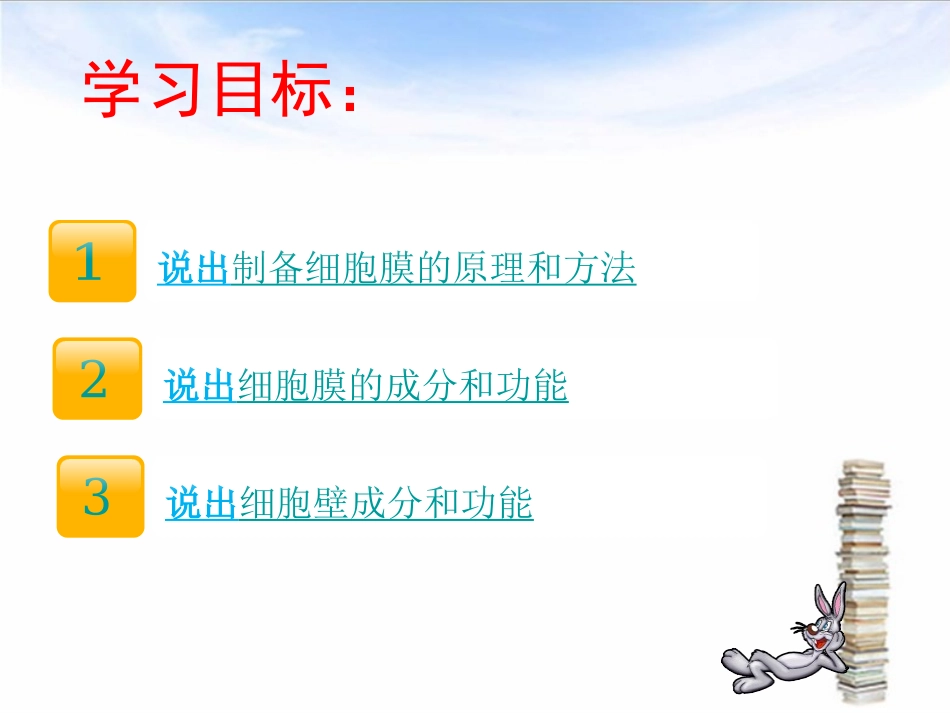 小谢3.1系统的边界——细胞膜ppt.ppt_第3页