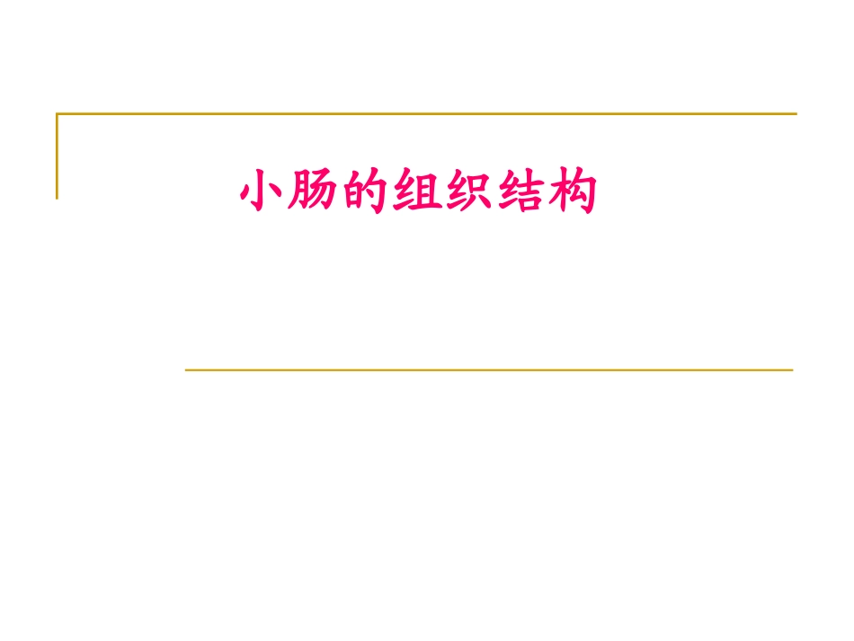 小肠的组织结构.ppt_第1页