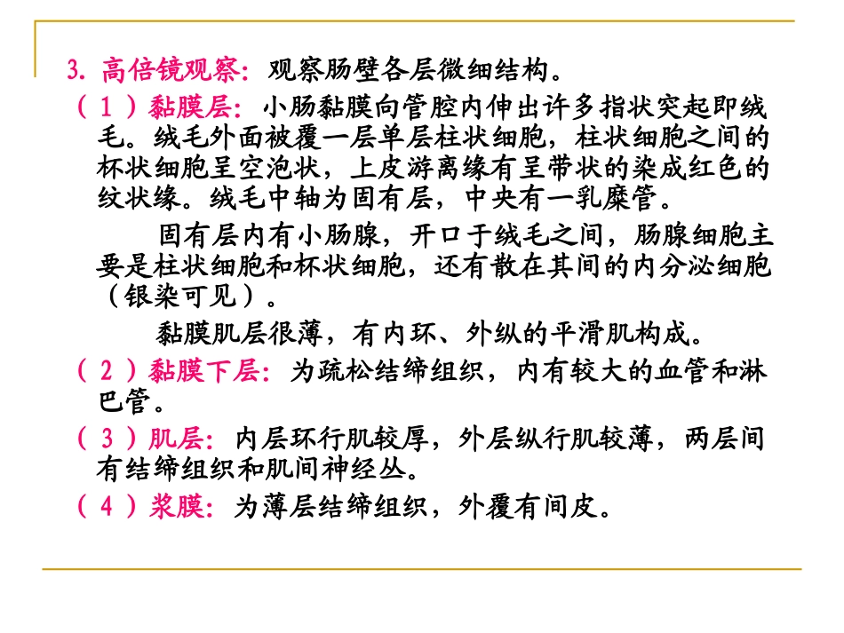 小肠的组织结构.ppt_第3页