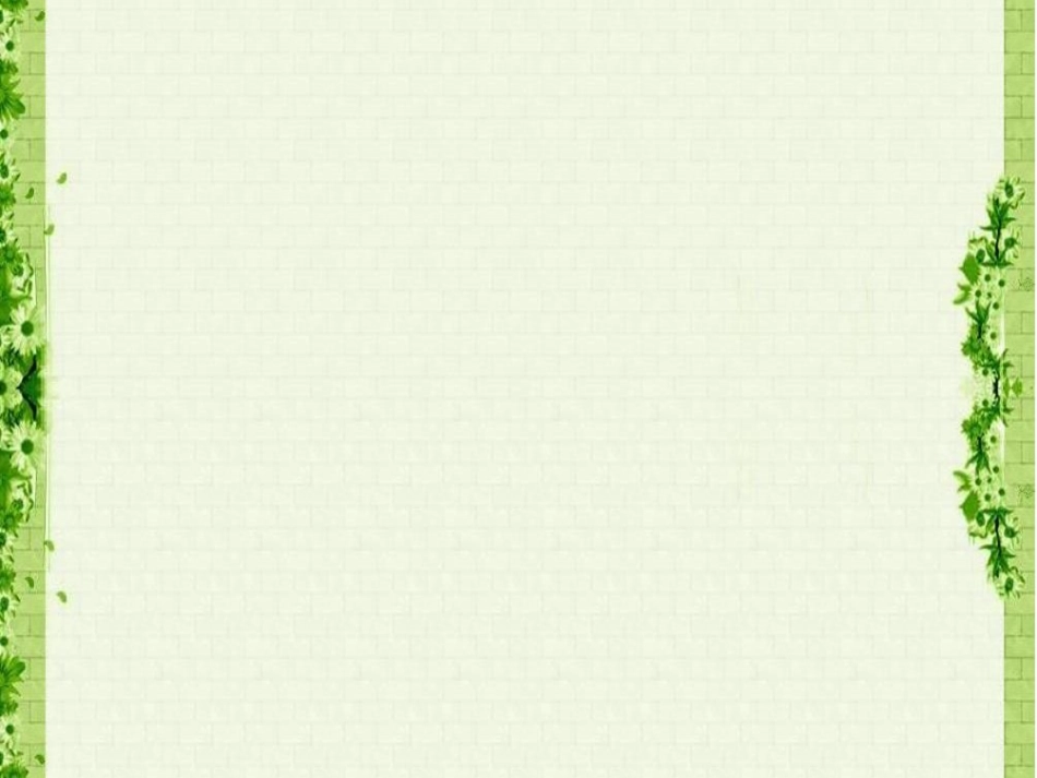 小短尾猿出生后母猿病逝-这只鸽子一直和其相依相伴.ppt_第1页