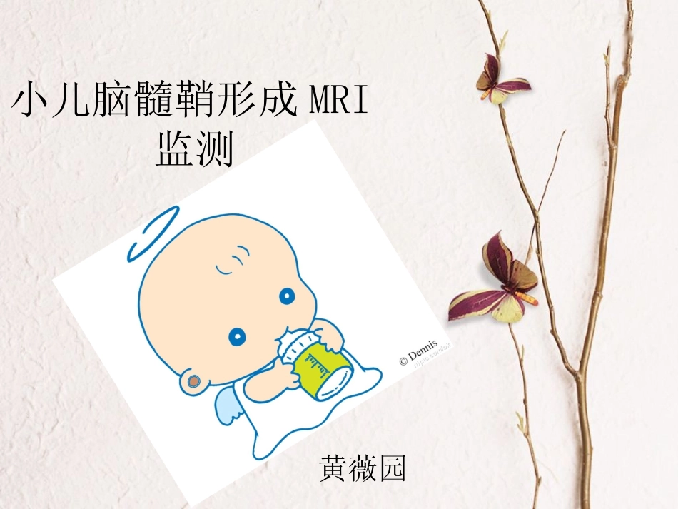 小儿脑髓鞘形成MRI.ppt_第1页