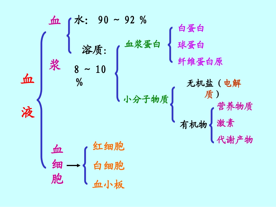 小血管内皮细胞作用.ppt_第3页
