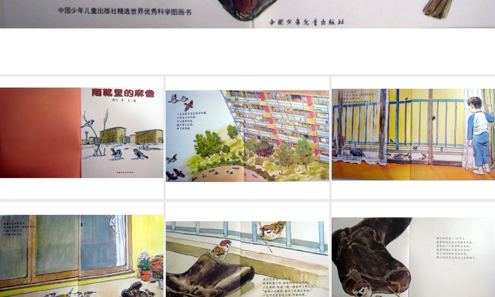 [绘本故事PPT]雨靴里的麻雀绘本.ppt