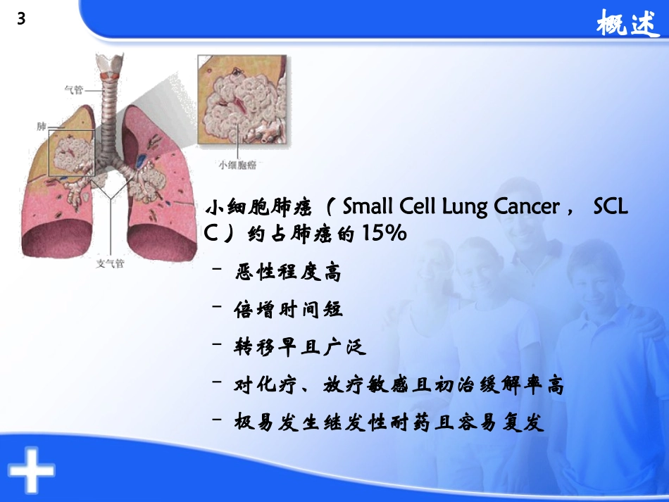 小细胞肺癌一线化疗.ppt_第3页