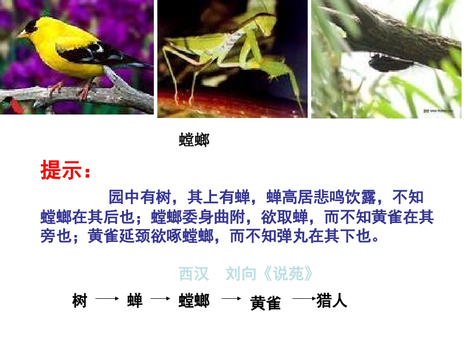 小肠适于消化吸收的结构特点.ppt_第2页