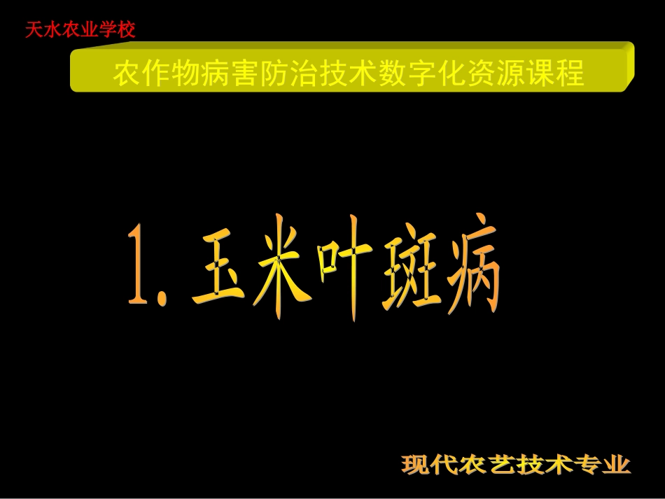 弯孢菌叶斑病特征.ppt_第2页