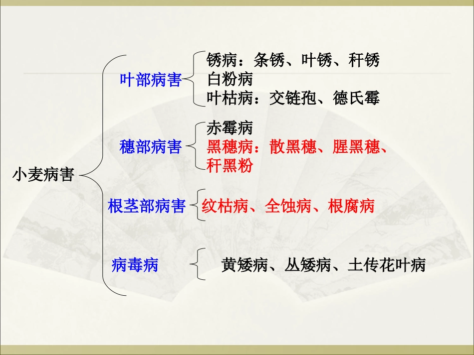 小麦主要病虫害分析.ppt_第2页