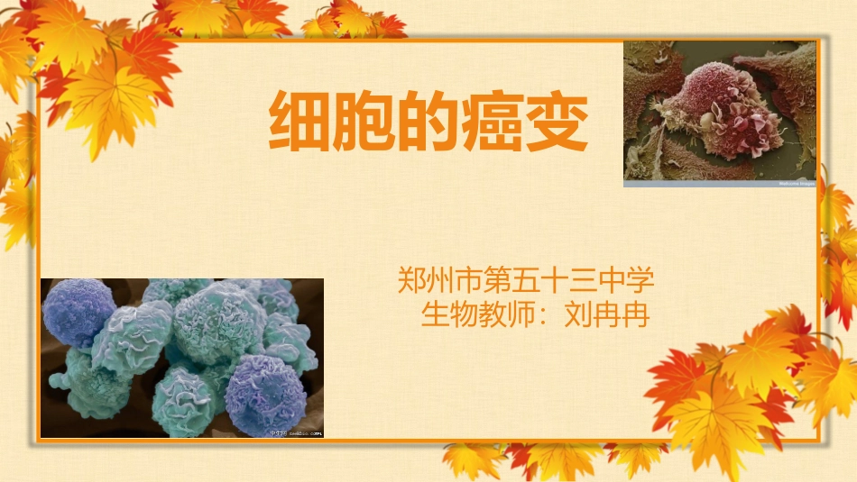 微课细胞的癌变.pptx_第1页