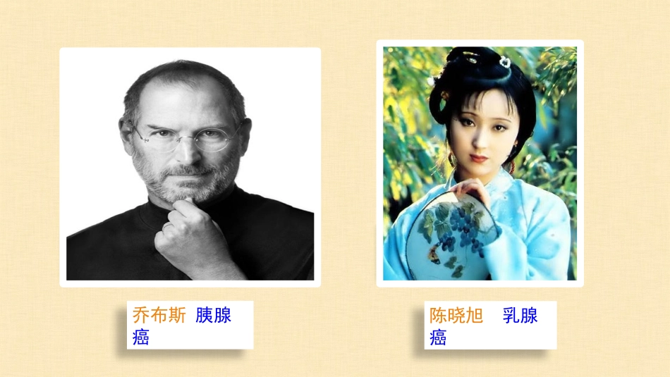 微课细胞的癌变.pptx_第2页