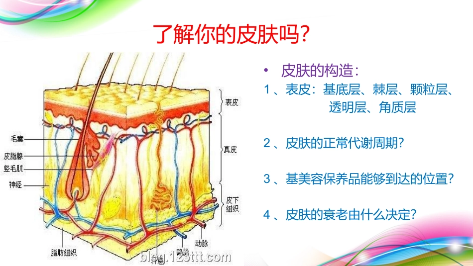 微针美疗16.ppt_第2页